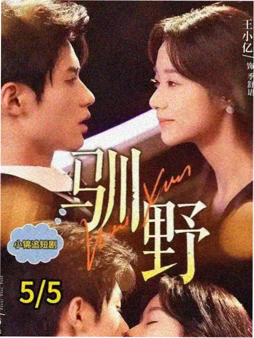 真人剧剖面线的档案封面示意